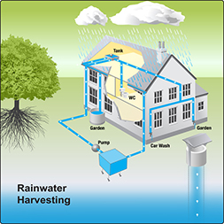 Rainwater Tank